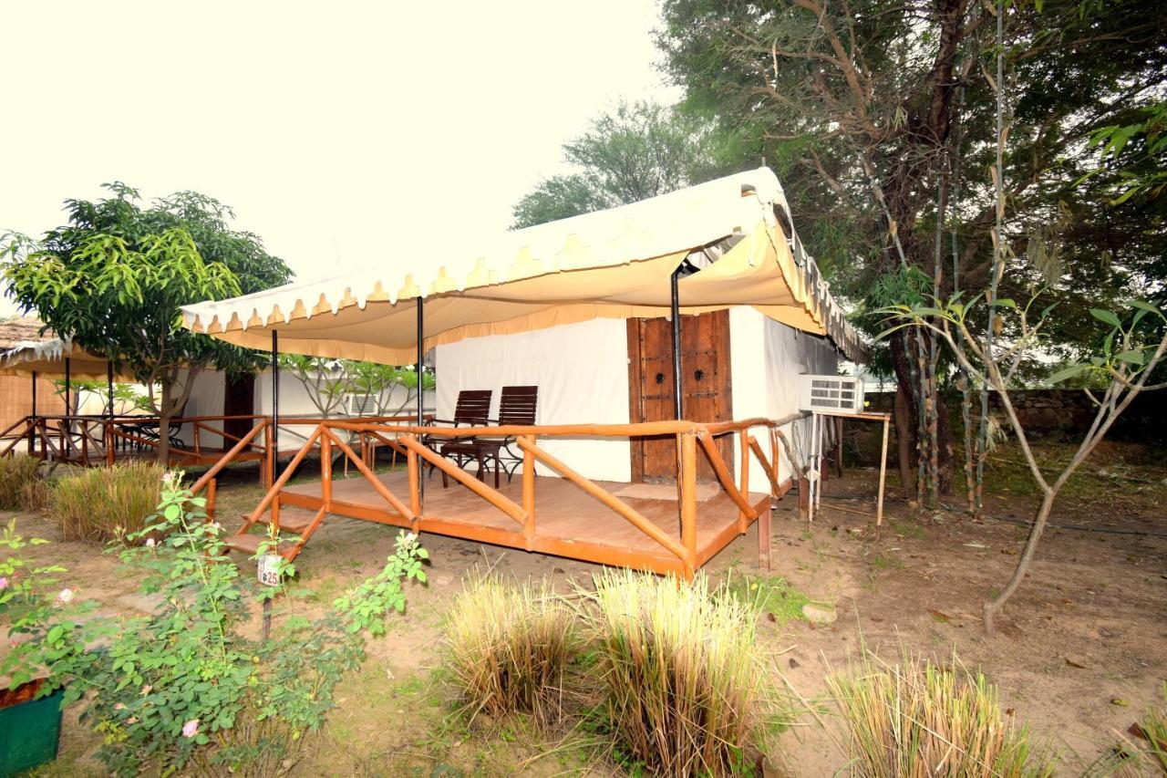 סוואי מדופור Sultan Bagh Resort By The Sky Imperial מראה חיצוני תמונה