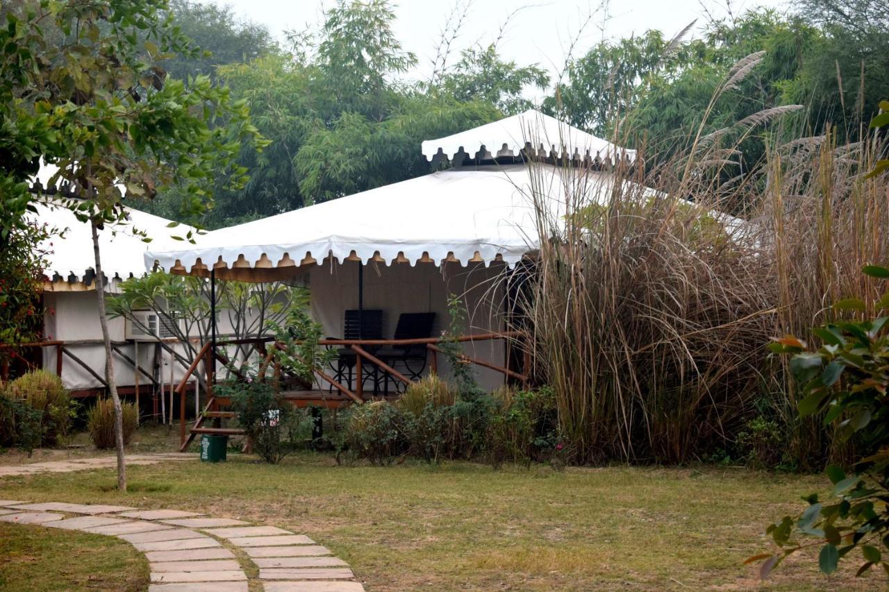 סוואי מדופור Sultan Bagh Resort By The Sky Imperial מראה חיצוני תמונה
