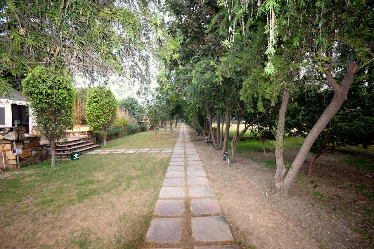 סוואי מדופור Sultan Bagh Resort By The Sky Imperial מראה חיצוני תמונה