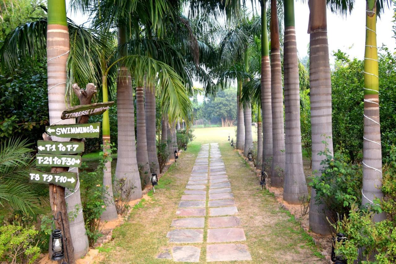 סוואי מדופור Sultan Bagh Resort By The Sky Imperial מראה חיצוני תמונה