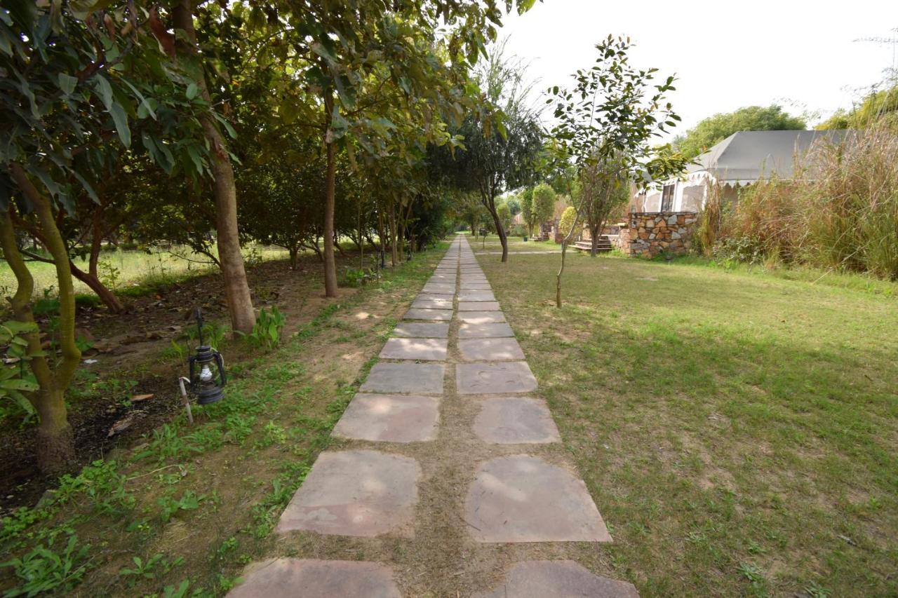 סוואי מדופור Sultan Bagh Resort By The Sky Imperial מראה חיצוני תמונה